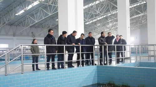 集團總經(jīng)理王爽一行開展節(jié)日慰問與工作指導(dǎo)